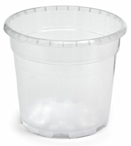 Floralo Blumentopf, Orchideentopf Durchmesser 14 cm, transparent, 14x14x12.5 cm, 1.25 L, 725