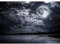Runa Art Papier peint intissé 396 x 280 cm Nuit de pleine lune | Toison Décoration Murale Salon Chambre á Coucherr | Fabrication Allemande | Noir et blanc 9116012c