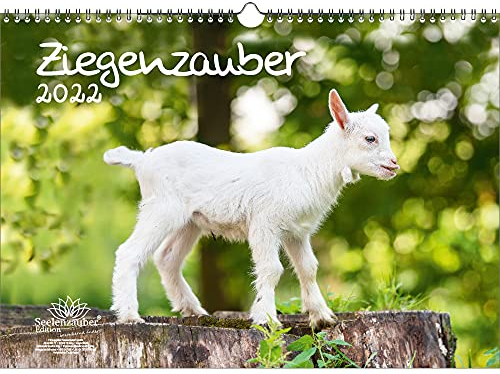 Ziegenzauber DIN A3 Kalender für 2022 Ziegen und Zicklein - Seelenzauber