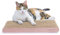 AMZNOVA Katzenkratzer, Kratzunterlage, strapazierfähiger, recycelbarer und wendbarer Karton mit Katzenminze, schmal, Glitzer-Roségold