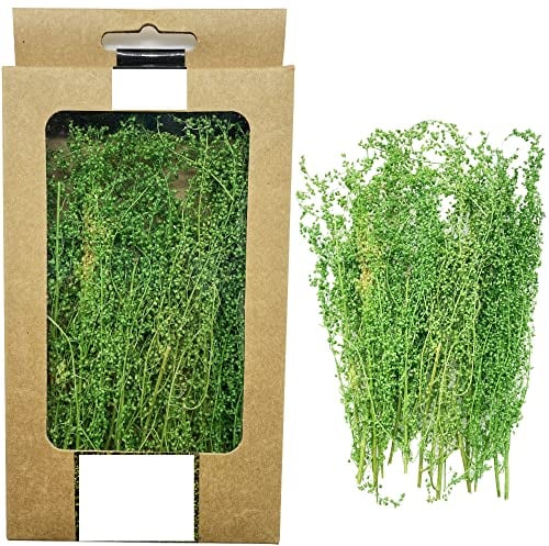 Cayway Racimo de Arbustos Grass Tufts Juego de Mesa de Arena, Utilizado para Paisajes en Miniatura, Diseño de Arbustos en Miniatura para El Paisaje del Jardín de Bricolaje, Verde Hierba