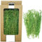 Cayway DIY Miniatur Static Grass Tuft Miniatursträucher Büsche Modell Bäume Bush für Mini Garten Dekoration Modelleisenbahn Geländebau, Gras Grün