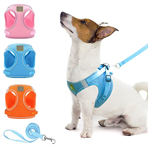 SIMENA Geschirr und Leine Set, No-Pull Hundegeschirr mit reflektierenden Bändern für Hunde und Katzen, weiches und atmungsaktives Katzengeschirr (Blau, M)