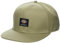 Dickies Herren Skateboarding Flat Bill Cap Verschluss, Beige, Einheitsgröße