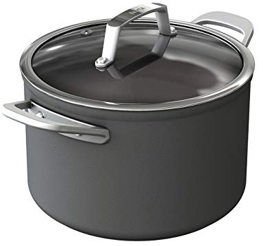 Ninja Foodi ZEROSTICK olla de 22 cm con tapa de vidrio, duradera, antiadherente, de aluminio anodizado duro, compatible con inducción, apta para lavavajillas y horno, en gris, C30422EU