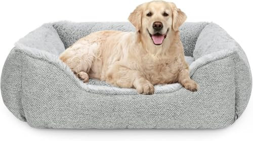 JOEJOY Hundebett Mittelgroße Hunde, Hundebett Waschbar, Hundekorb Flauschig, rutschfest Hundebetten, Plüsch Hundesofa, Haustierbett für Mittlere und Große Hunde und Katzen, 76x61x23cm