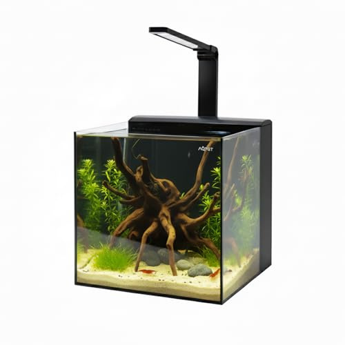 Aqpet Acquario Completo Kubic Rear in Vetro Extrachiaro con Sistema filtrante integrato e Luce Led inclusa 30x30x30 cm
