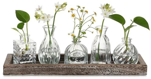 Hewory Glass Bud Vases for Flowers: 5pcs Vintage Small Vases for Table Decoration Centrepiece - Clear Glass Vase Set with Wood Tray Cystal Flower Vase for Living Room Decor Home Wedding