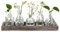 Hewory Glass Bud Vases for Flowers: 5pcs Vintage Small Vases for Table Decoration Centrepiece - Clear Glass Vase Set with Wood Tray Cystal Flower Vase for Living Room Decor Home Wedding