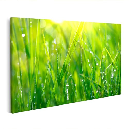 islandburner Wandbild auf Leinwand Grünes Gras mit Wassertropfen im