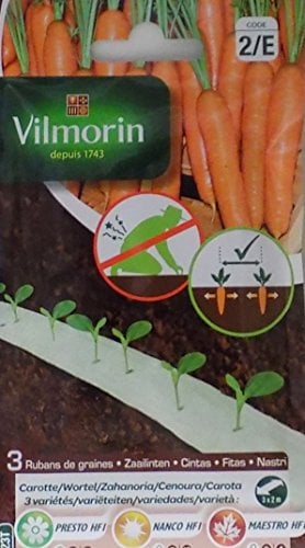 3 Cintas biodegradables Vilmorin 525 semillas de ZANAHORIA (cultivo fácil)