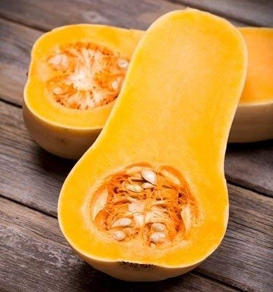 Butternut Squash Samen - Cucurbita maxima