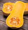 Butternut Squash Samen - Cucurbita maxima