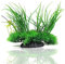 MaoNativey Piante Acquario Artificiali, Verde Acquario Piante di plastica Decorazione Accessori per Acquario Decorazioni