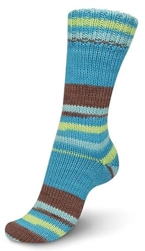 REGIA 6-fach Talking Lines Color 5102 - clove-capri color
