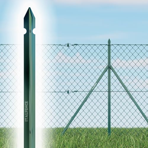 Lot de 10 piquets T en fer plastifié vert [H125cm, 30x30x3mm]