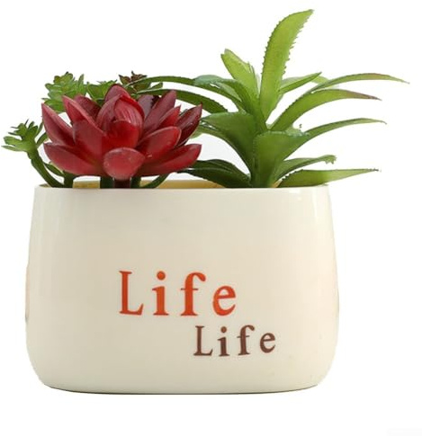 Décoration d'intérieur sans effort avec plantes succulentes artificielles dans des pots élégants en argile de ciment (D)