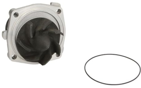 Hepu P345 Wasserpumpe