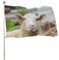 Dekoratives Hausflagge, Hof-Banner, lustiger Schaf-Druck, alle Jahreszeiten, Feiertage, Willkommensgartenflaggen, Rasendekoration, 90 x 150 cm