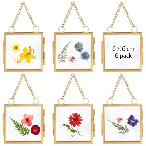 6 Pcs Hanging Photo Mini Frames, Double Sided Glass Pressed Flower Frame | Floating Metal Gold Photo Frame for Dried Flowers,Plant Specimen, DIY Family Tree, Wall Display (Square, 6*6cm)