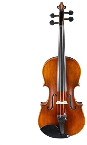 Stentor 4/4 Violine Elysia - Violine
