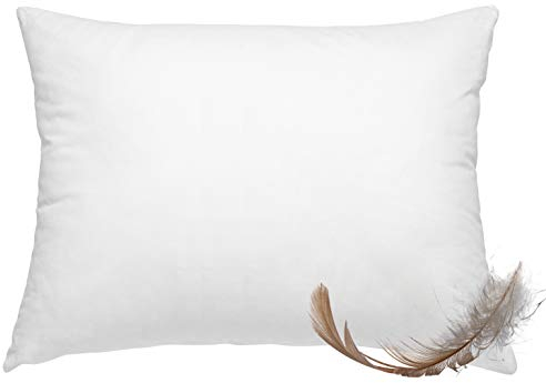 wometo Federkissen 100% Federn 40x60-600g Oeko-TEX Sofakissen Füllkissen Bezug Baumwolle weiß/Innenkissen/Kissenfüllung/Kopfkissen