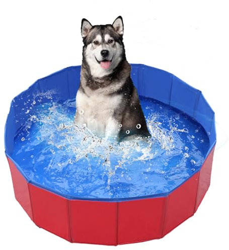 Faltbar Hundepool,PVC Hundepool,Schwimmbad für Hund,Hunde Planschbecken für Haustiere,Faltbarer Hundepool für Kleine Hunde,Hunde Schwimmbecken für Hund,Kinderschwimmbad, 50x8 cm, 1 Stück