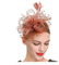 YUEZHAN Stirnband Haarband Damen Fascinators Hut Mit Mesh-Blume Faux Pearl Feder Dekor Kopfstück Tea Party Kopf Bedeckung Clip Retro Hair Hoop Party Stirnband Braun