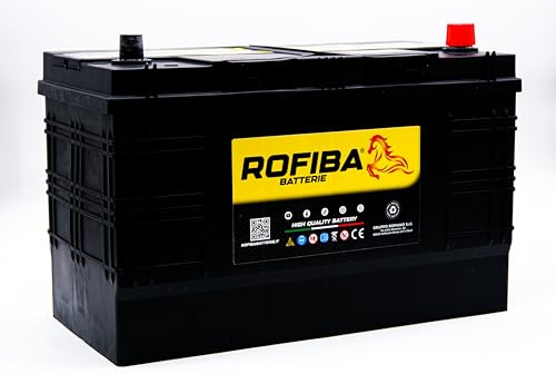 ROFIBA Batteria 110Ah 12V - Per Autocarro, Camion e Trattori - Polo Positivo DESTRO - Avviamento Professionale - Alta Potenza - 110680 = VARTA I9