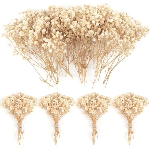 70 Stück Schleierkraut Getrocknet 4000+Mini Pressed Real Gypsophila Bulk Natürliche Elfenbein Weiß Getrocknete Blumen für Haar Zubehör Hochzeit Kranz Karte Machen Tisch Vase Geschenk Home Decor