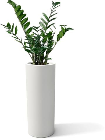 Kloris Jarrón Moderno cilíndrico de Resina Redondo de 90 cm de Alto, Modelo Barroco, Jardinera de Polietileno 35 x 35 x 90 cm, Profundidad del Compartimiento 26 cm, Fabricado en Italia