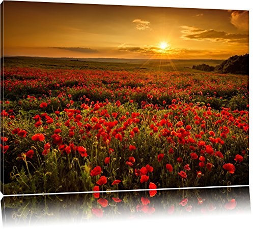 Pixxprint Mohnblütenfeld bei traumhaftem Sonnenuntergang, Größe: 100x70cm, Leinwandbild, fertig gespannt, Wandbild, Dekoration, Kunstdruck, kein Poster