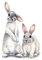 Yumira Ostern Wandaufkleber, Osterhasen Wandtattoos Kaninchen Fensterbild Fensteraufkleber Abnehmbare Wanddekoration für Babyzimmer Kinderzimmer Kindergarten