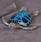 Casablanca Schildkröte Josie Poly,blau/Silber L.18cm