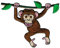 Affe hängt an Liane Schimpanse Aufnäher zum aufbügeln oder aufnähen Bügelbild Aufbügler für Kleidung gestickter Bügelpatch Applikation Monkey Patch Größe 9,1 x 7,3 cm