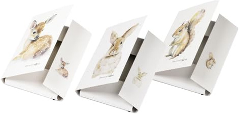 Pagna Multipack 21352-25 Sammelbox A4 Save me No.4 Gummizugverschluss sortiert, Eichhörnchen, Hase und Reh