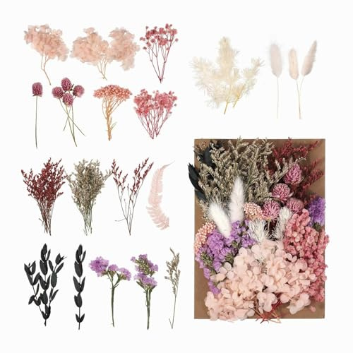 Natürliches Trockenblumenpaket Echte Blumen Getrocknet und Frisch gehalten Natürlich Getrocknet Farbe Erhalten Hausdekoration Geschenk Trockenblumen Tischdeko Blumen Deko