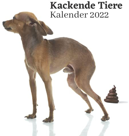 Kackende Tiere Kalender 2022: Gag Geschenke. Lustiges Geschenk für Tierliebhaber, Freunde, Weihnachten, Neujahr. Witzige Geschenkidee für Männer, Frauen und Arbeitskollegen. Kleine Weihnachtsgeschenke