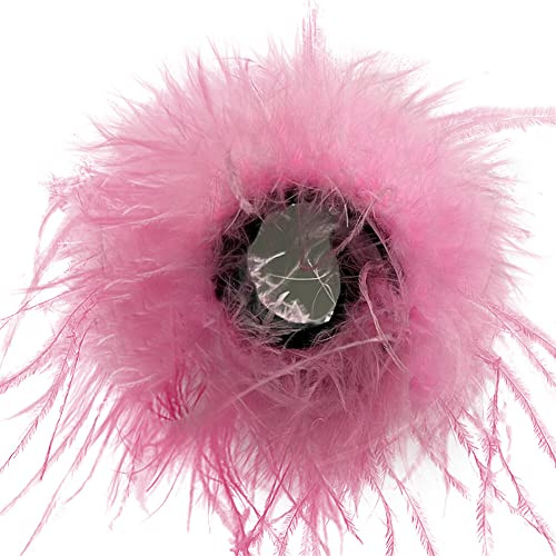 2 Stück Damen Feder Manschetten, Straußenfedern Armbänder Haarschmuck Schnapparmband Handgelenk-Ärmel Dekorative Federärmel für Hochzeit Halloweenkostüm Party zubehör Karnevals für Frauen Mädchen
