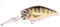 Spro Wobbler Ikiru Naturals Mini Crank 38F LL Zander