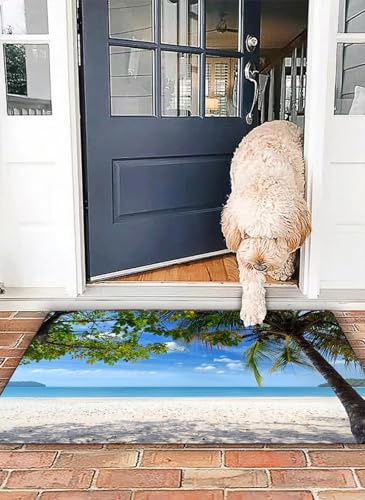OHJEAJDS Badezimmerteppich rutschfest Badematte 50 x 80 cm,Badteppich Saugfähig Weich Maschinenwaschbar für Badezimmer,Sommer, tropischer Strand, Meer hinter Palmen, Karibik, exotisch