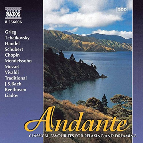 Night Music 6: Andante / Various