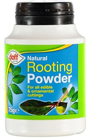 Hormone de bouturage en poudre Doff, 2 pots de 75 g - Favorise la pousse de racines saines et robustes sur les boutures