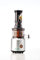 Estraggo LIGHT Estrattore di Succo a Freddo da Frutta e Verdura, Bassa Velocità 60 giri/Min, Motore AC da 200 Watt (Argento)