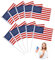 Lot de 10 drapeaux américains avec drapeau américain et étoiles et rayures 14 x 21 cm