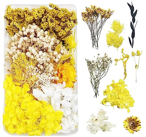 Trockenblumen zum Basteln Trockenblumen Deko Trockenblumen Klein Getrocknete Blumen Deko Trockenblumen Basteln Trockenblumen Set für DIY Basteln Handwerk Epoxidharz Scrapbooking Dekoration(Gelb)C-047E
