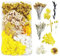 Fiori Secchi per Resina Fiori Secchi Decorativi Fiori Secchi per Candele Fiori Secchi per Decorazioni per Resina Epossidica Bouquet Fiori Secchi Artigianato Scrapbooking Decorazioni Floreali(Giallo)