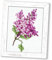 Povitrulya Lilac Counted Cross Stitch Kit
