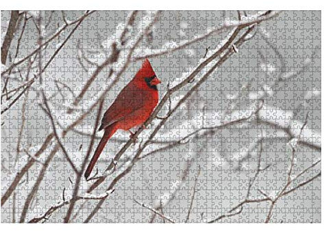 Puzzle 1000 Teile Männlicher Kardinal Im Winter Tiere Puzzles Geburtstagsgeschenk Puzzle Schwer Mehrfarbig Besondere Puzzle Für Erwachsene