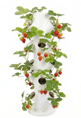 Ayvia Pflanzturm 15 Pflanzen-Erdbeerturm & Kräuterturm für Balkon, Terrasse & Garten I Vertikales Pflanzsystem für Erdbeeren, Salat & Blumen, Robustes Hochbeet Weiß (Weiß)